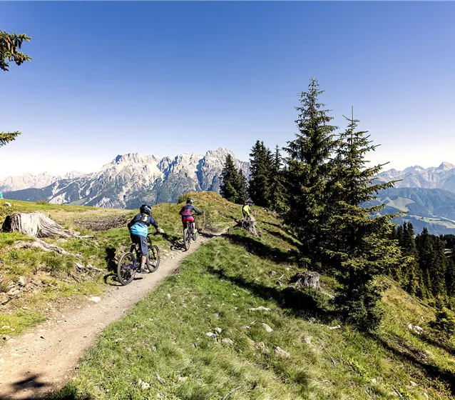 mountainbike-asitz-leogang-tvb-neu