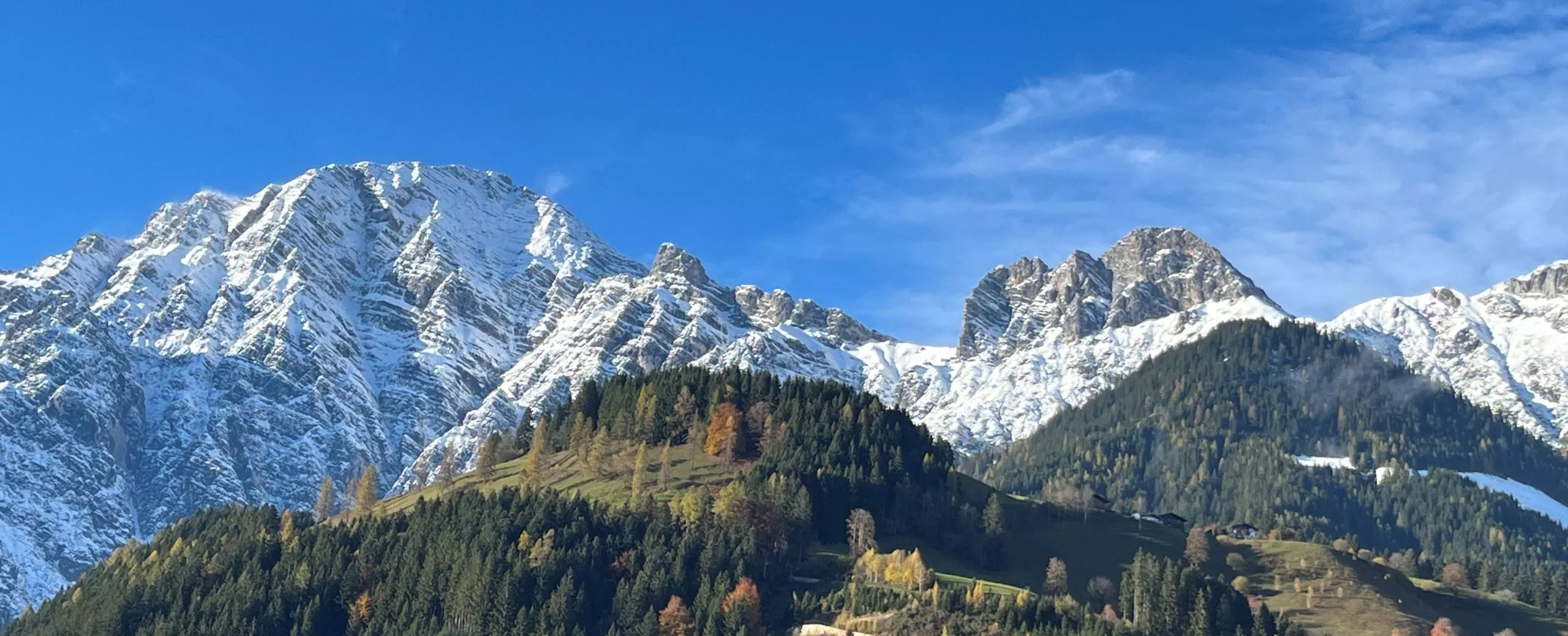 herbstwaldsteinbergeverschneit-4