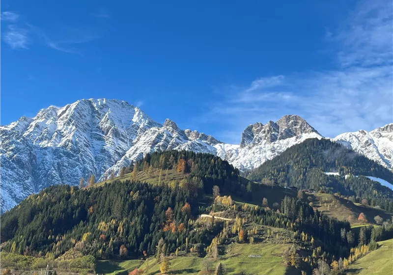 herbstwaldsteinbergeverschneit-4