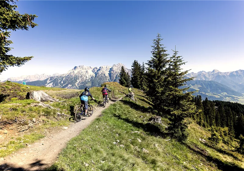 mountainbike-asitz-leogang-tvb-neu
