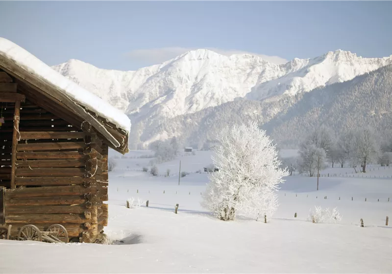 winterlandschaft-by-julian-mullan--2