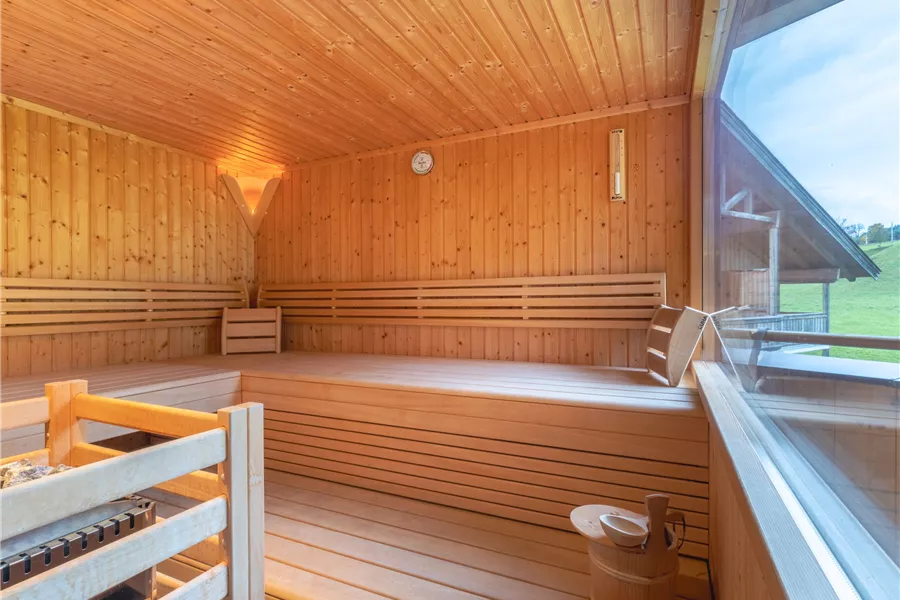 panorama-sauna-innen-5